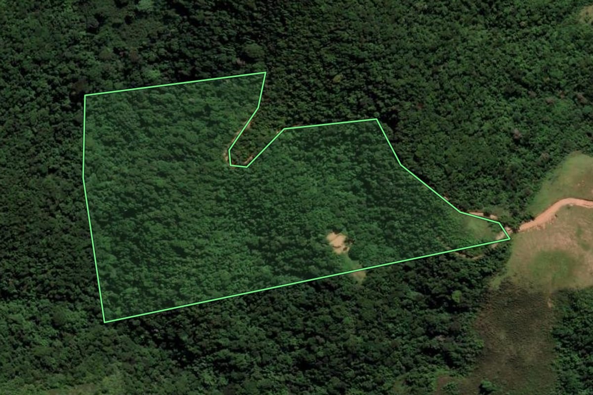 Imagem de satélite do imóvel rural em Paracambi (RJ), com o contorno declarado no CAR desenhado por cima.
