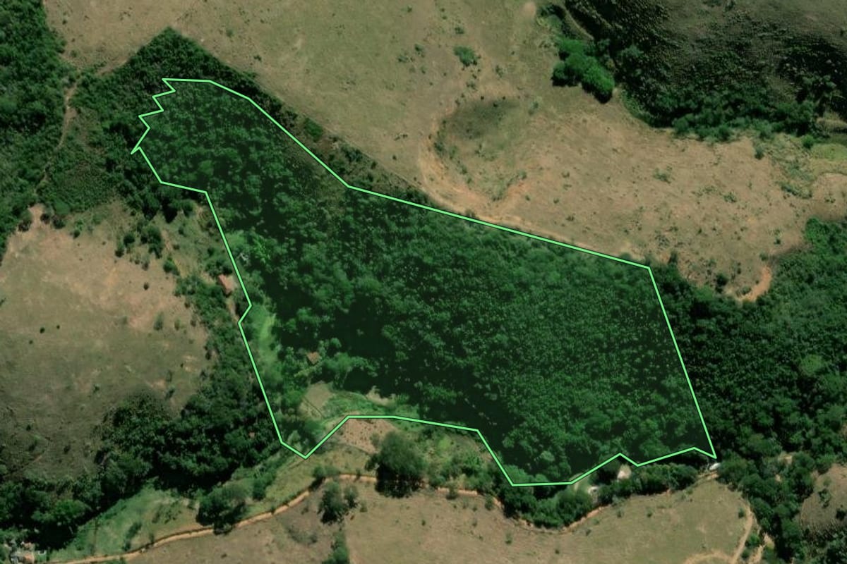 Imagem de satélite do imóvel rural em Paraíba do Sul (RJ), com o contorno declarado no CAR desenhado por cima.