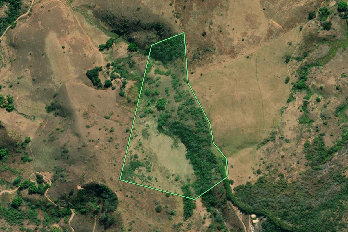 Imagem de satélite do imóvel rural em Paraíba do Sul (RJ), com o contorno declarado no CAR desenhado por cima.