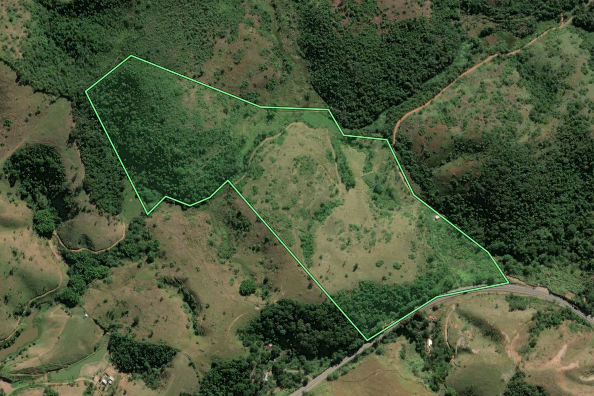 Imagem de satélite do imóvel rural em Paraíba do Sul (RJ), com o contorno declarado no CAR desenhado por cima.