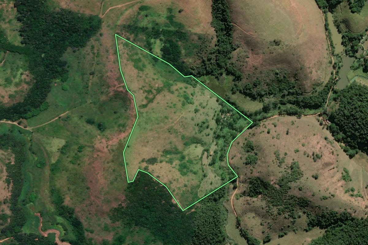 Imagem de satélite do imóvel rural em Paraíba do Sul (RJ), com o contorno declarado no CAR desenhado por cima.