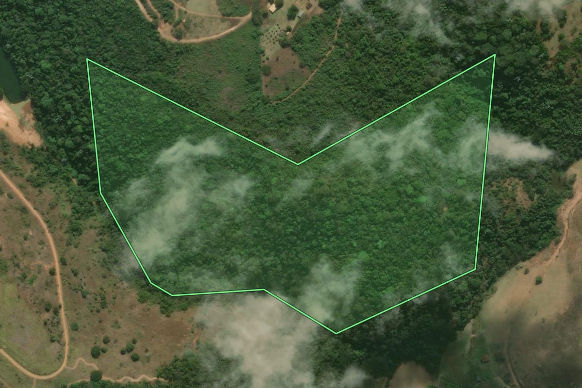 Imagem de satélite do imóvel rural em Paraíba do Sul (RJ), com o contorno declarado no CAR desenhado por cima.