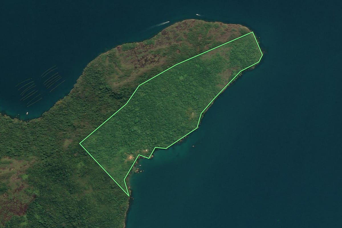 Imagem de satélite do imóvel rural em Paraty (RJ), com o contorno declarado no CAR desenhado por cima.