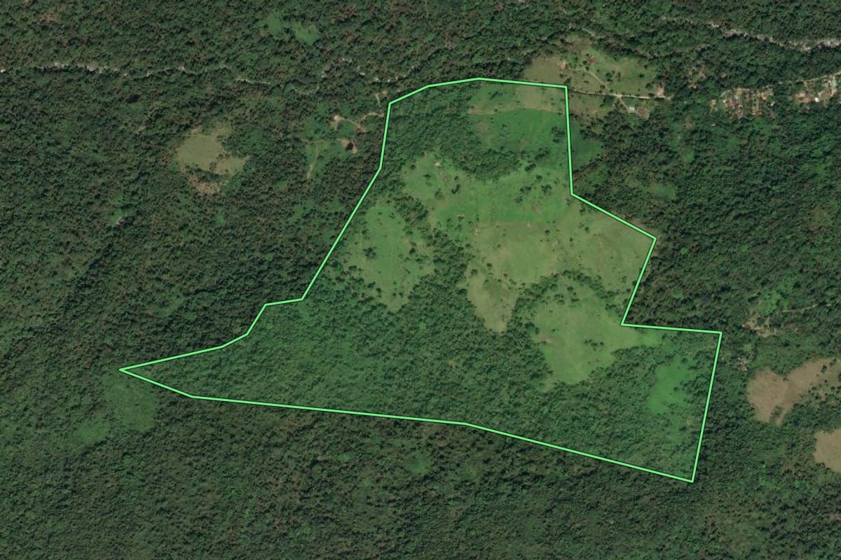 Imagem de satélite do imóvel rural em Paraty (RJ), com o contorno declarado no CAR desenhado por cima.