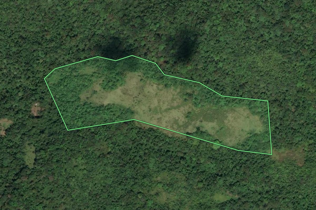 Imagem de satélite do imóvel rural em Paraty (RJ), com o contorno declarado no CAR desenhado por cima.