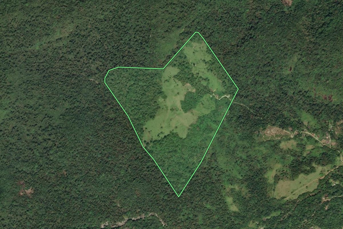 Imagem de satélite do imóvel rural em Paraty (RJ), com o contorno declarado no CAR desenhado por cima.