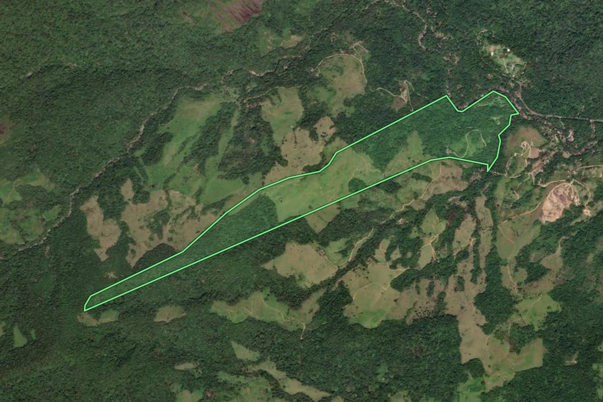 Imagem de satélite do imóvel rural em Paraty (RJ), com o contorno declarado no CAR desenhado por cima.