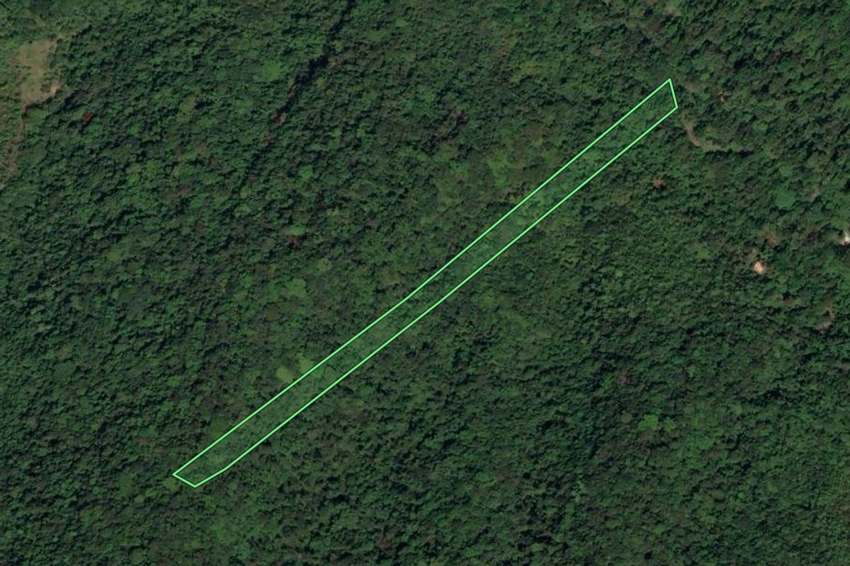 Imagem de satélite do imóvel rural em Paraty (RJ), com o contorno declarado no CAR desenhado por cima.