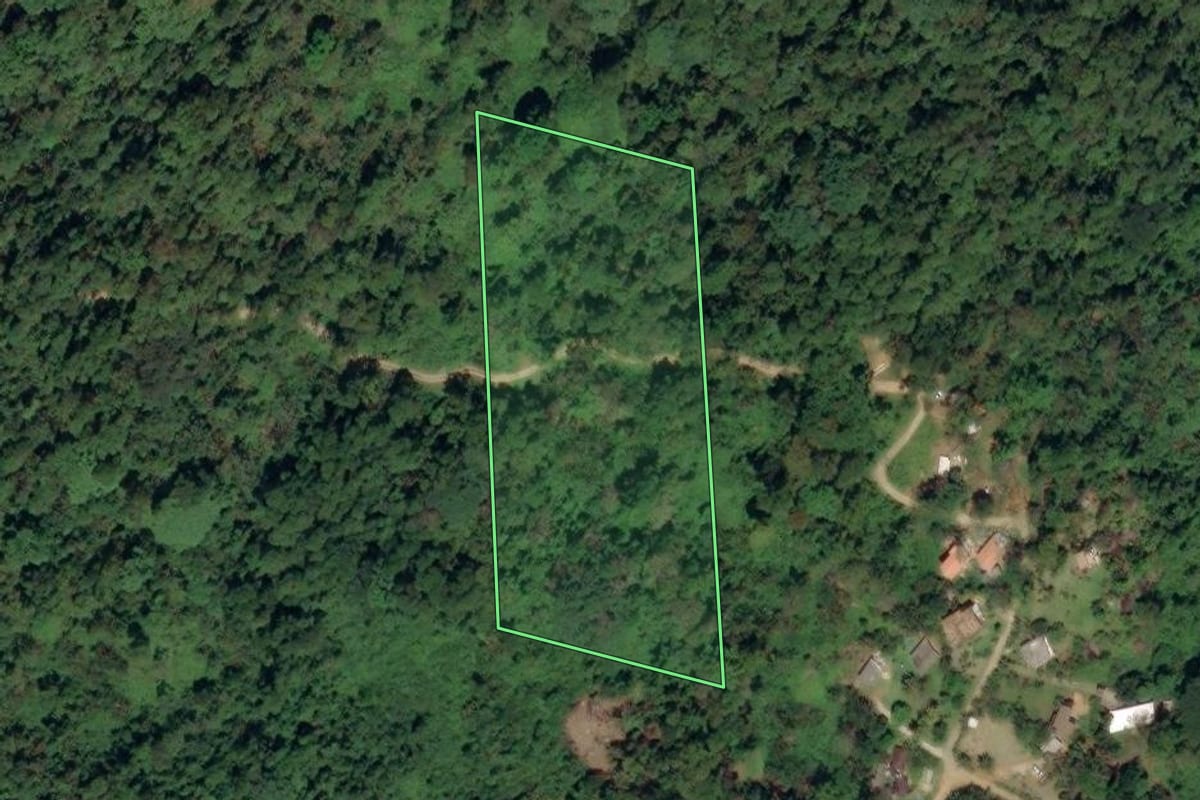 Imagem de satélite do imóvel rural em Paraty (RJ), com o contorno declarado no CAR desenhado por cima.