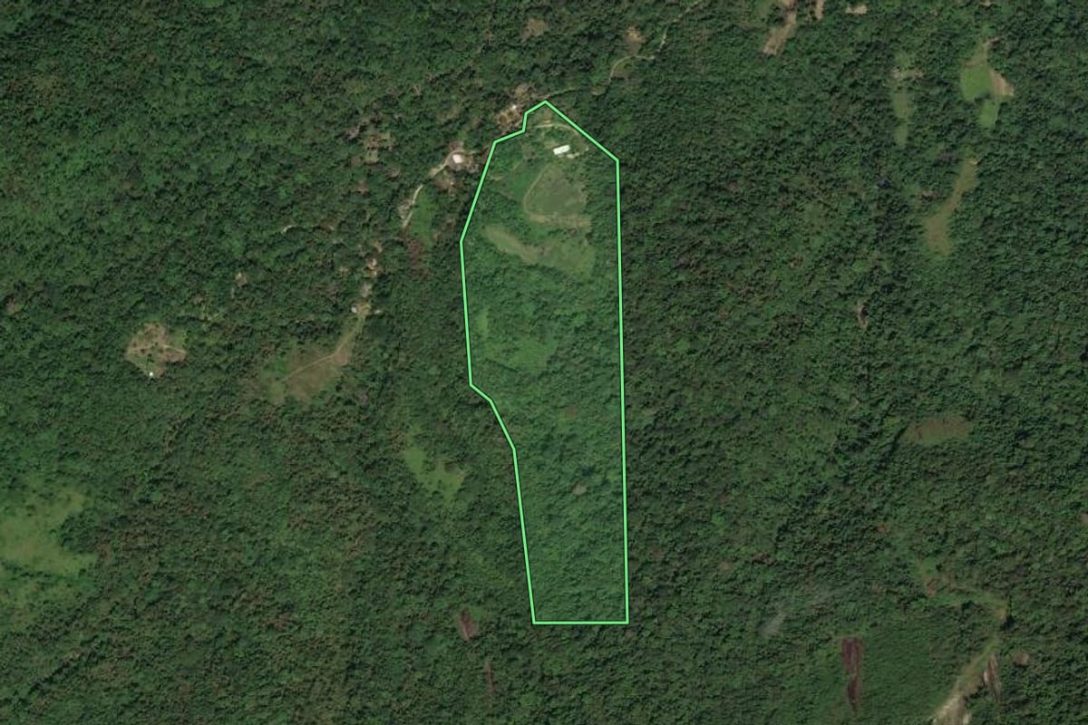 Imagem de satélite do imóvel rural em Paraty (RJ), com o contorno declarado no CAR desenhado por cima.