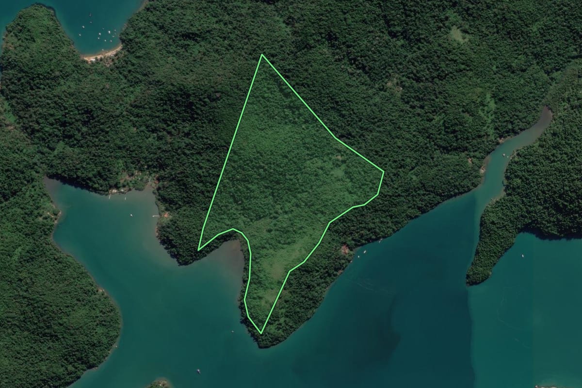 Imagem de satélite do imóvel rural em Paraty (RJ), com o contorno declarado no CAR desenhado por cima.