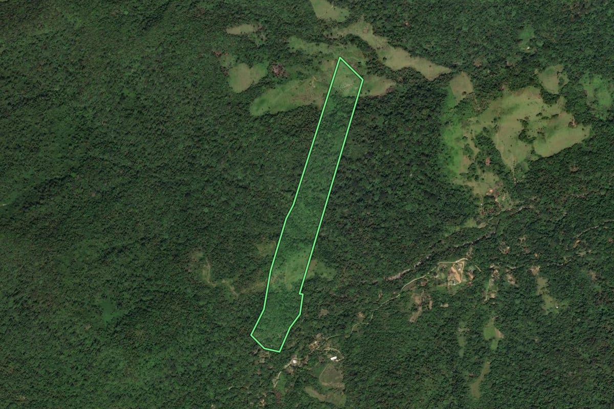 Imagem de satélite do imóvel rural em Paraty (RJ), com o contorno declarado no CAR desenhado por cima.