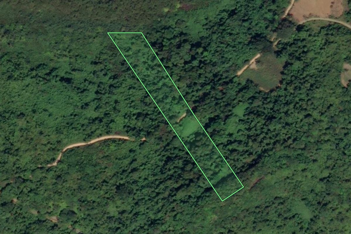 Imagem de satélite do imóvel rural em Paraty (RJ), com o contorno declarado no CAR desenhado por cima.
