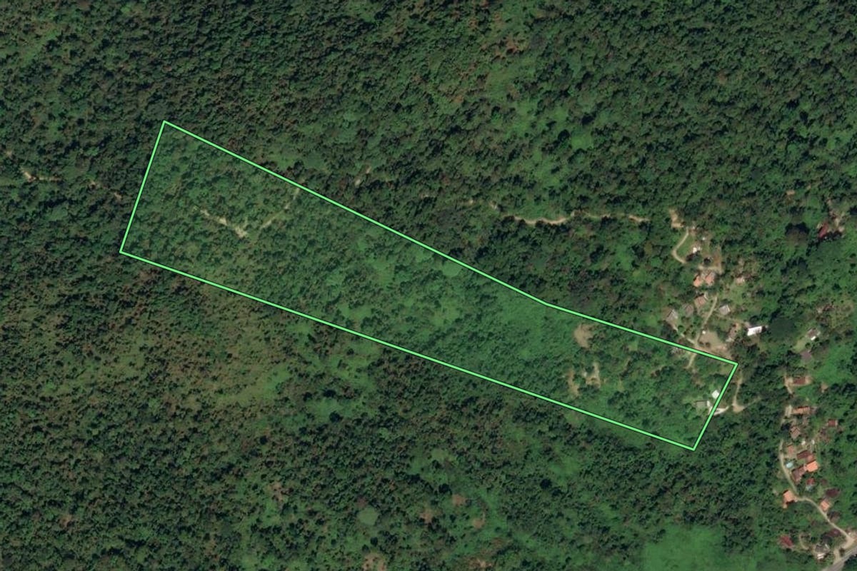 Imagem de satélite do imóvel rural em Paraty (RJ), com o contorno declarado no CAR desenhado por cima.