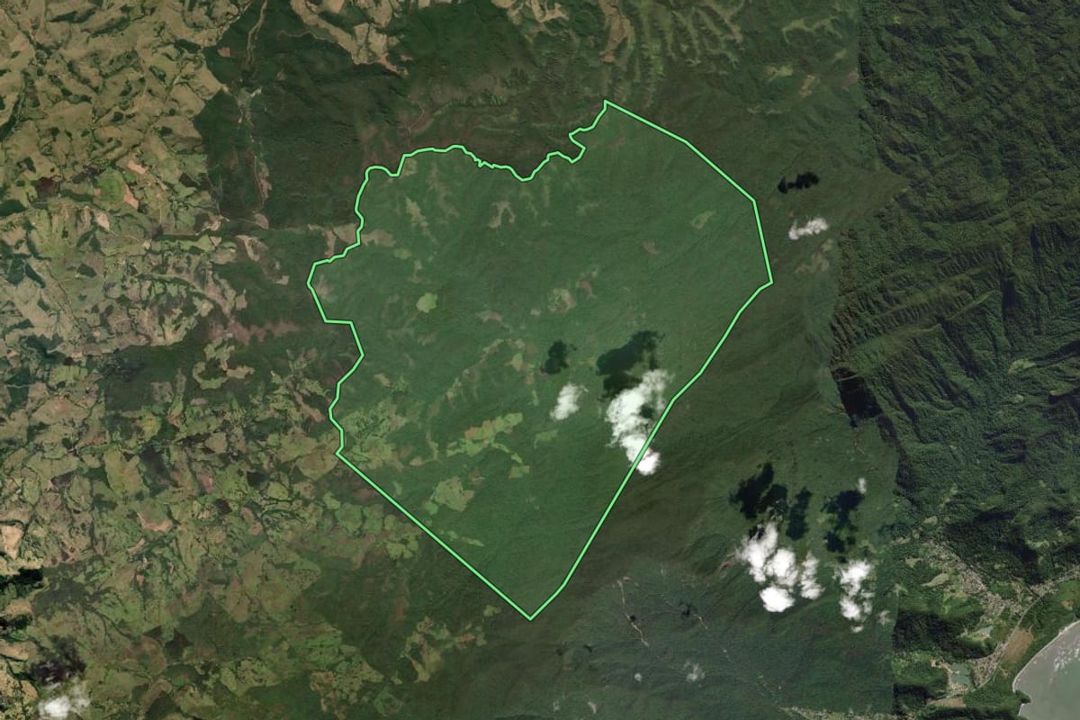 Imagem de satélite do imóvel rural em Paraty (RJ), com o contorno declarado no CAR desenhado por cima.