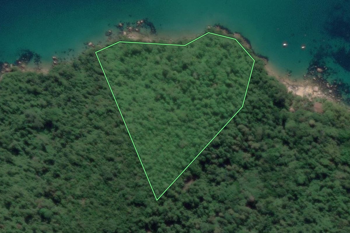 Imagem de satélite do imóvel rural em Paraty (RJ), com o contorno declarado no CAR desenhado por cima.