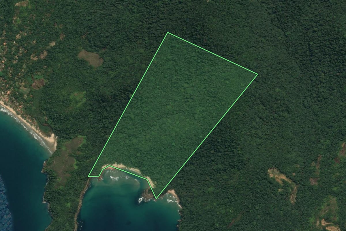 Imagem de satélite do imóvel rural em Paraty (RJ), com o contorno declarado no CAR desenhado por cima.