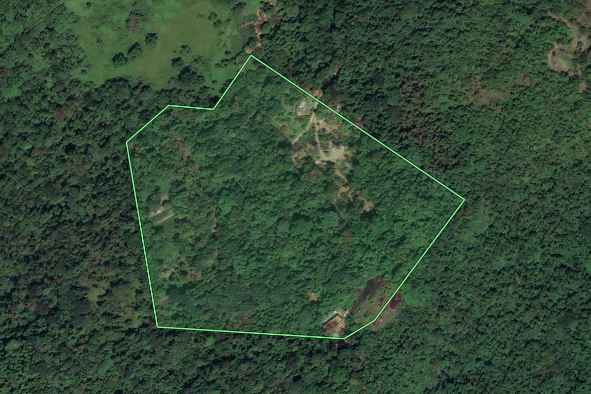 Imagem de satélite do imóvel rural em Paraty (RJ), com o contorno declarado no CAR desenhado por cima.