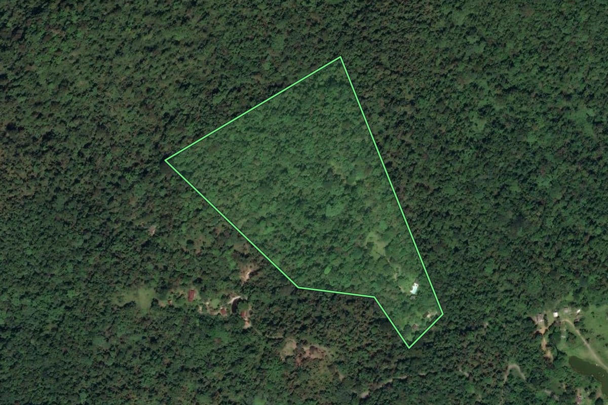 Imagem de satélite do imóvel rural em Paraty (RJ), com o contorno declarado no CAR desenhado por cima.