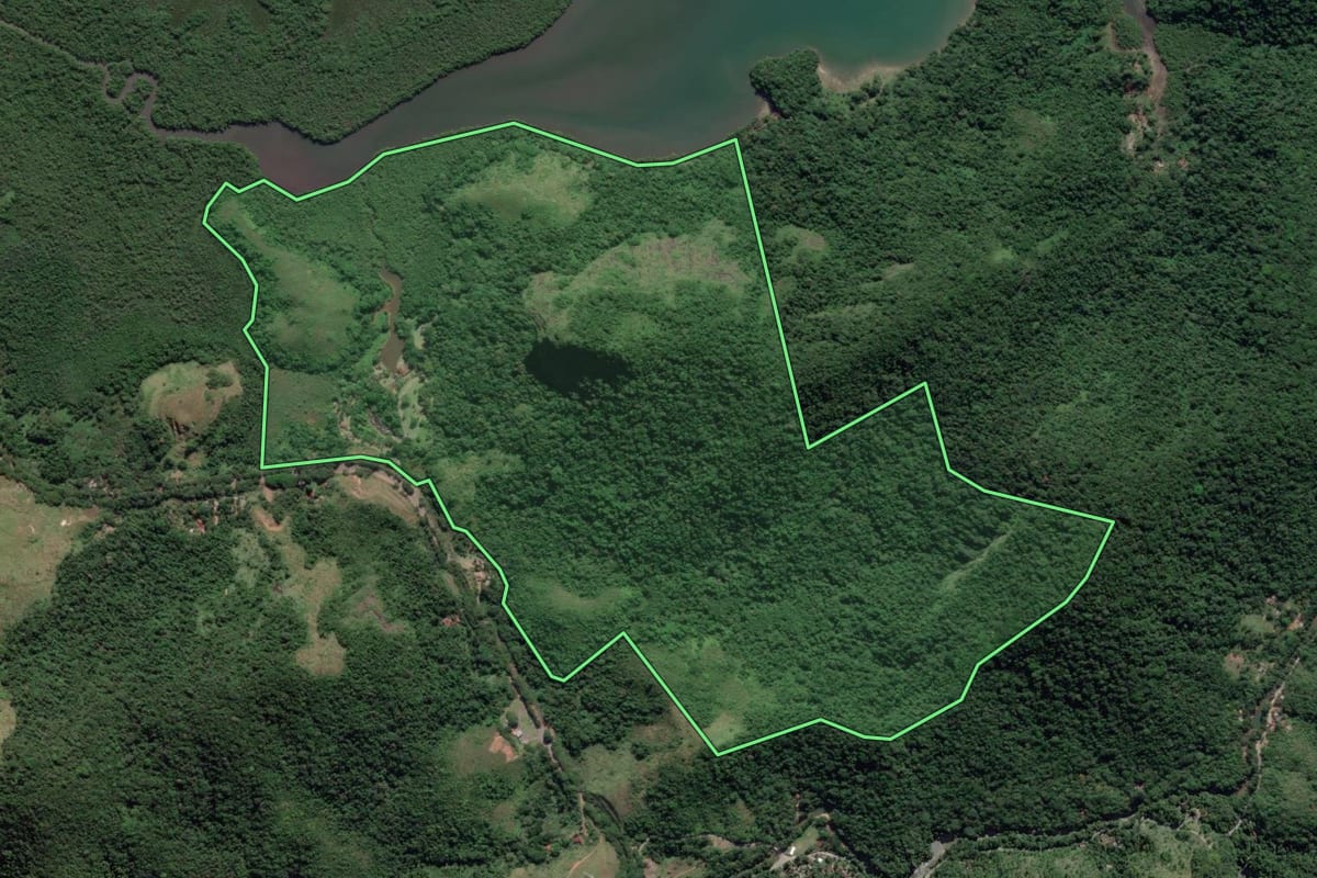 Imagem de satélite do imóvel rural em Paraty (RJ), com o contorno declarado no CAR desenhado por cima.