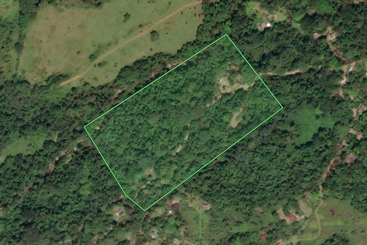 Imagem de satélite do imóvel rural em Paraty (RJ), com o contorno declarado no CAR desenhado por cima.