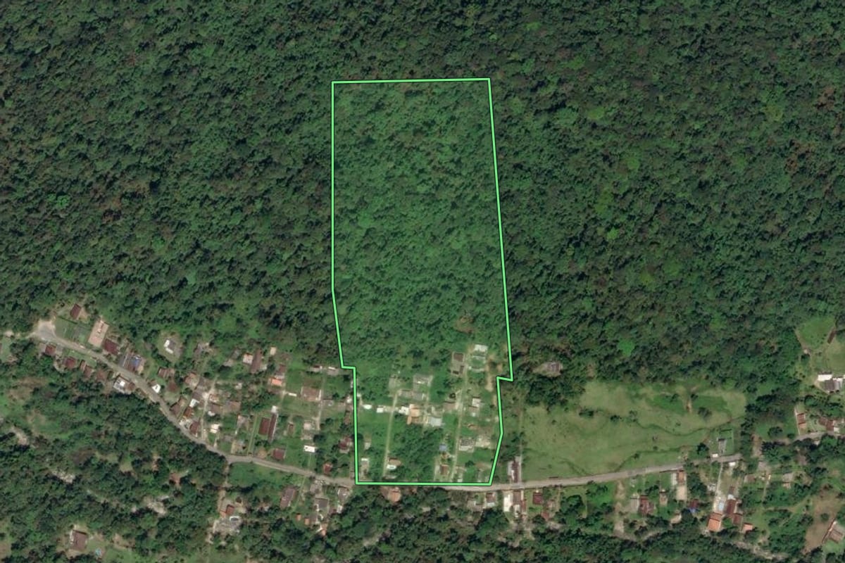 Imagem de satélite do imóvel rural em Paraty (RJ), com o contorno declarado no CAR desenhado por cima.