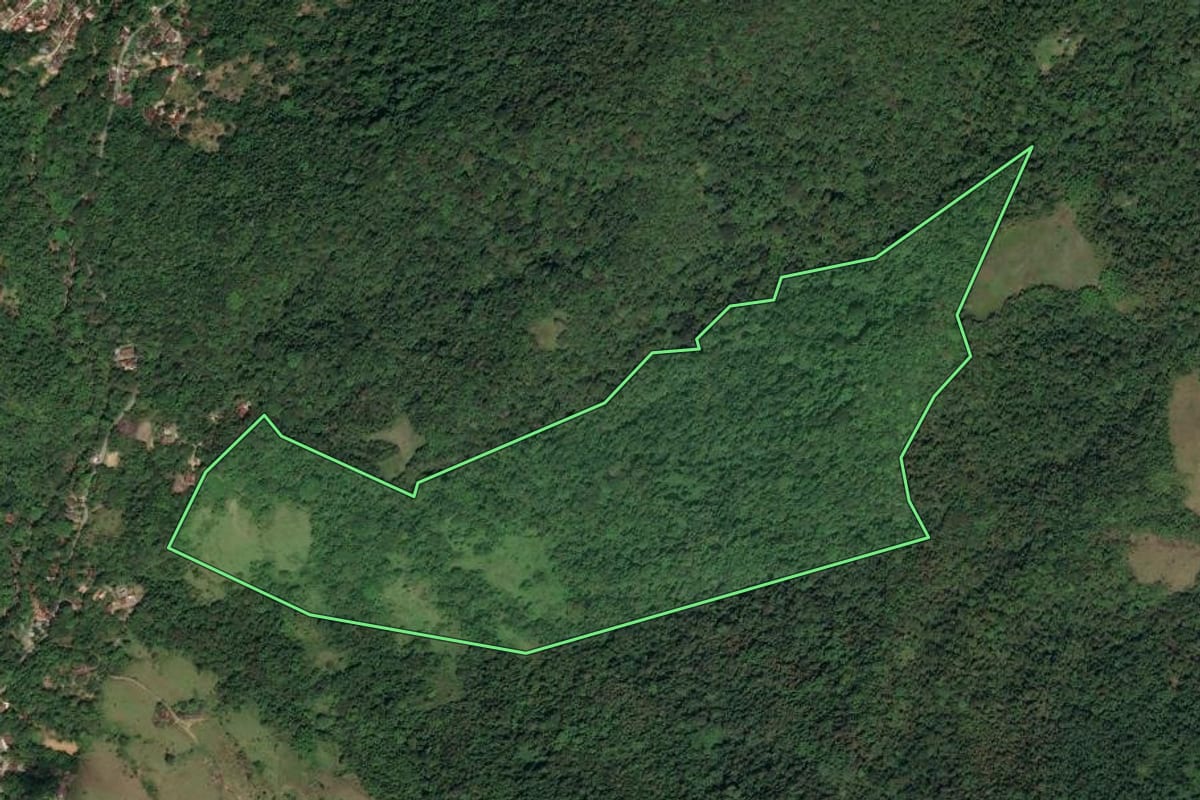 Imagem de satélite do imóvel rural em Paraty (RJ), com o contorno declarado no CAR desenhado por cima.