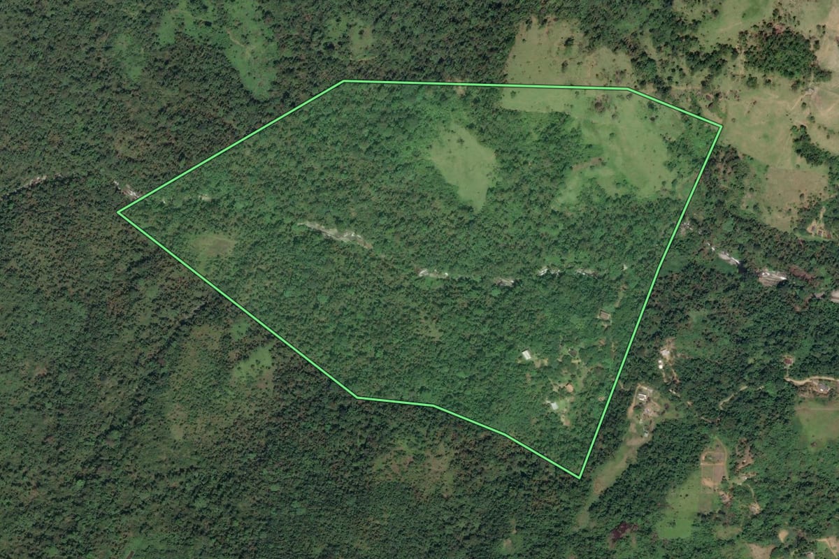 Imagem de satélite do imóvel rural em Paraty (RJ), com o contorno declarado no CAR desenhado por cima.