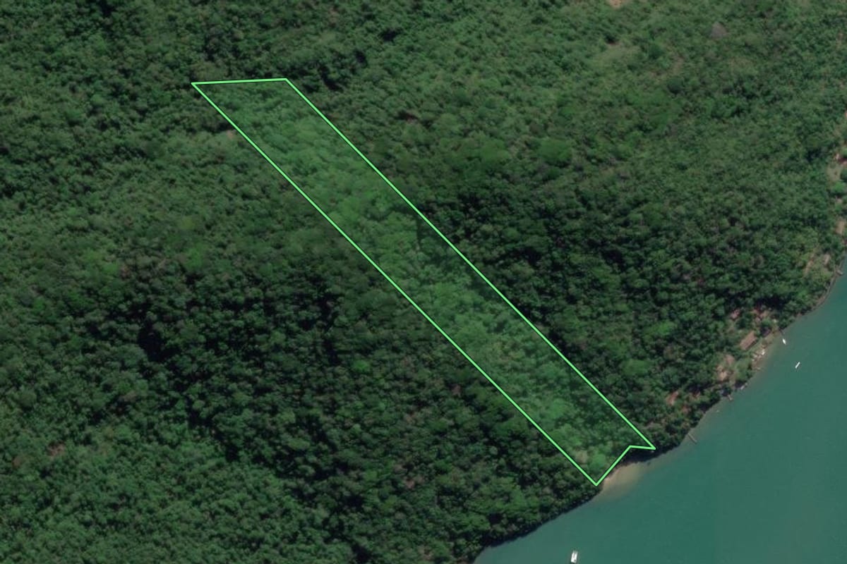 Imagem de satélite do imóvel rural em Paraty (RJ), com o contorno declarado no CAR desenhado por cima.
