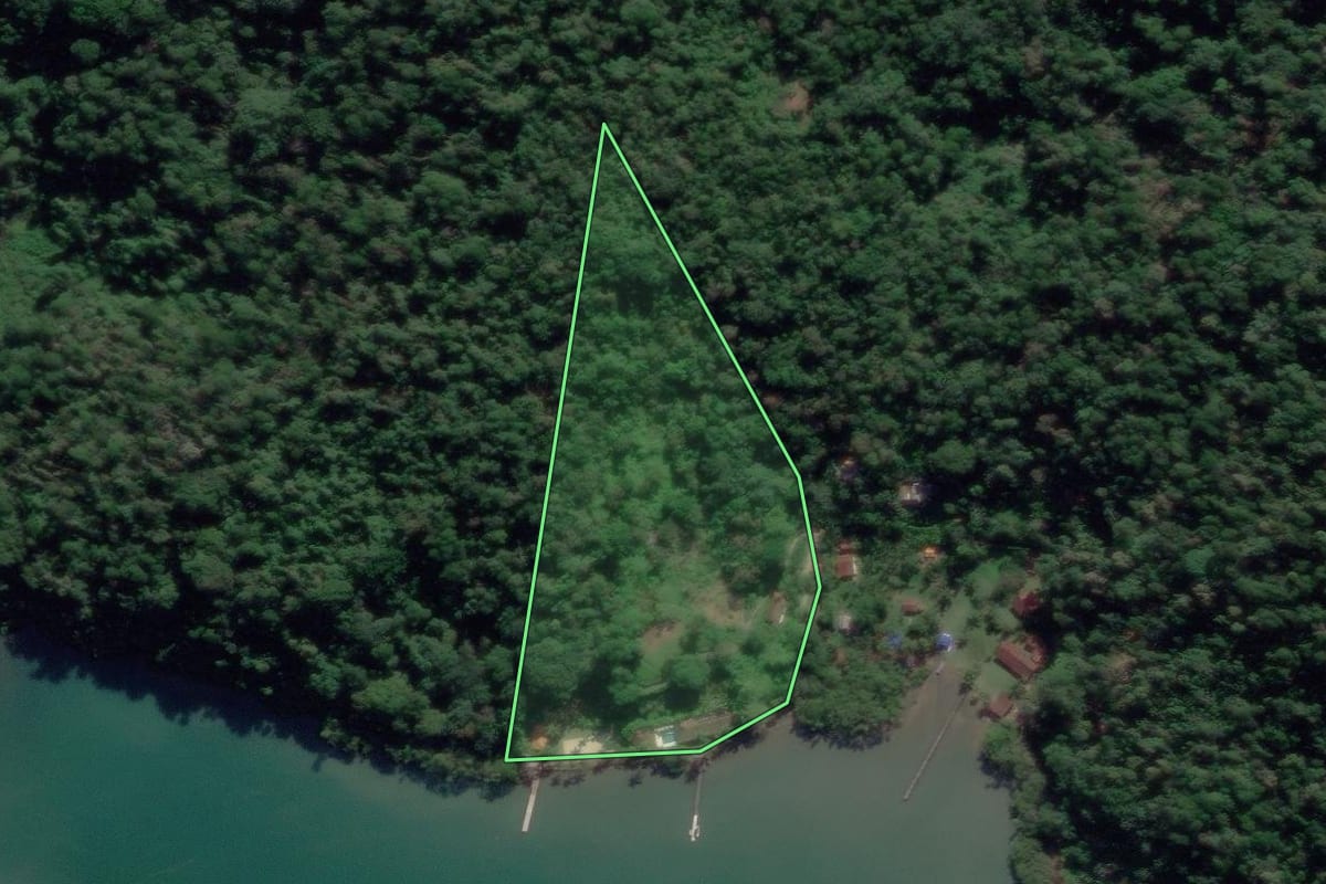 Imagem de satélite do imóvel rural em Paraty (RJ), com o contorno declarado no CAR desenhado por cima.