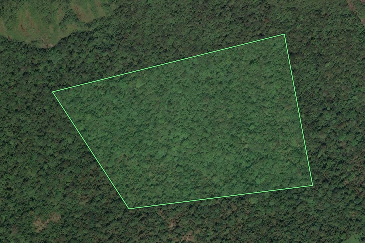 Imagem de satélite do imóvel rural em Paraty (RJ), com o contorno declarado no CAR desenhado por cima.