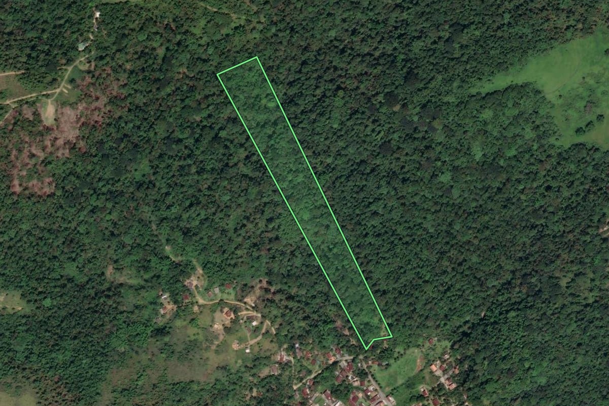 Imagem de satélite do imóvel rural em Paraty (RJ), com o contorno declarado no CAR desenhado por cima.