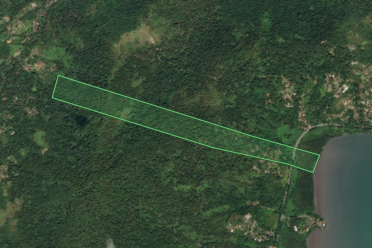 Imagem de satélite do imóvel rural em Paraty (RJ), com o contorno declarado no CAR desenhado por cima.