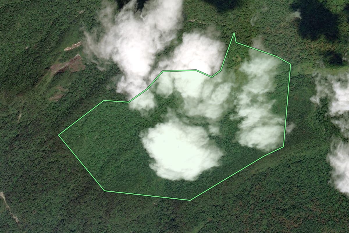 Imagem de satélite do imóvel rural em Paraty (RJ), com o contorno declarado no CAR desenhado por cima.