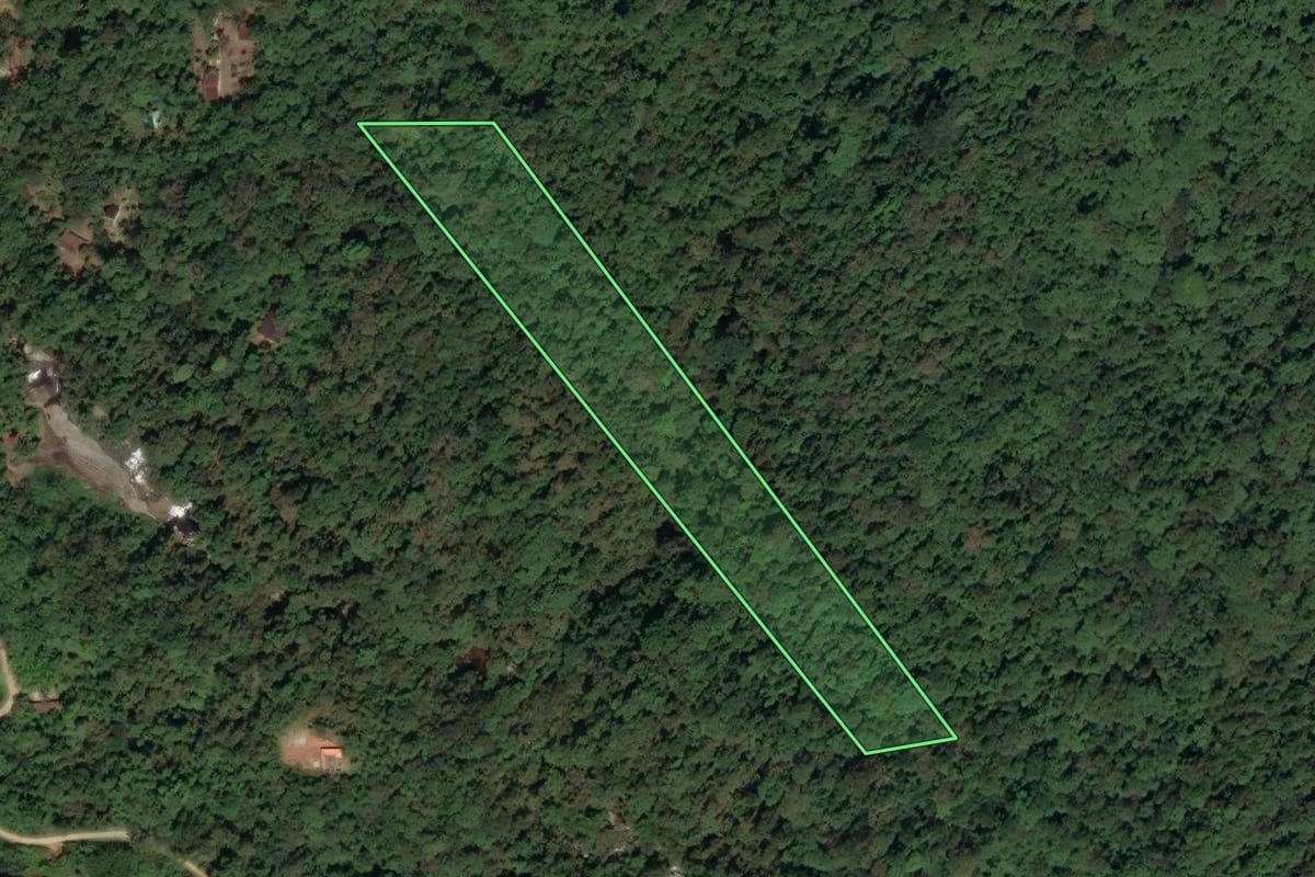 Imagem de satélite do imóvel rural em Paraty (RJ), com o contorno declarado no CAR desenhado por cima.