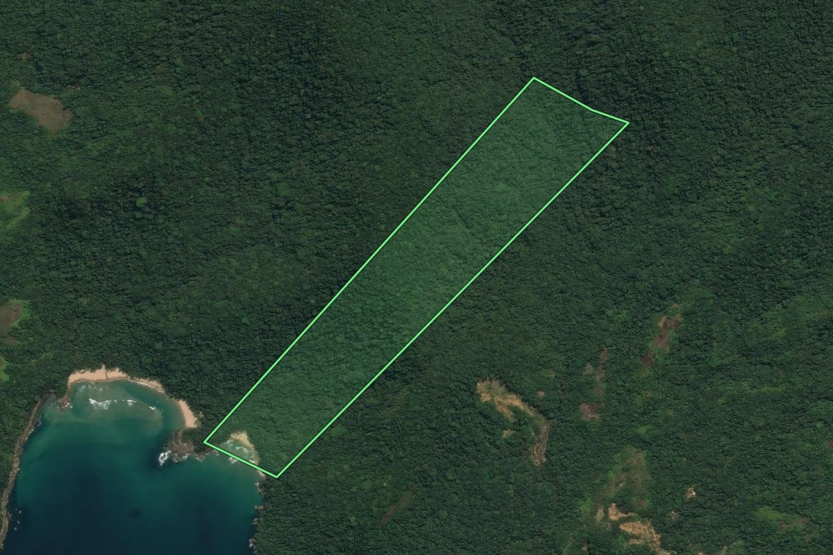Imagem de satélite do imóvel rural em Paraty (RJ), com o contorno declarado no CAR desenhado por cima.