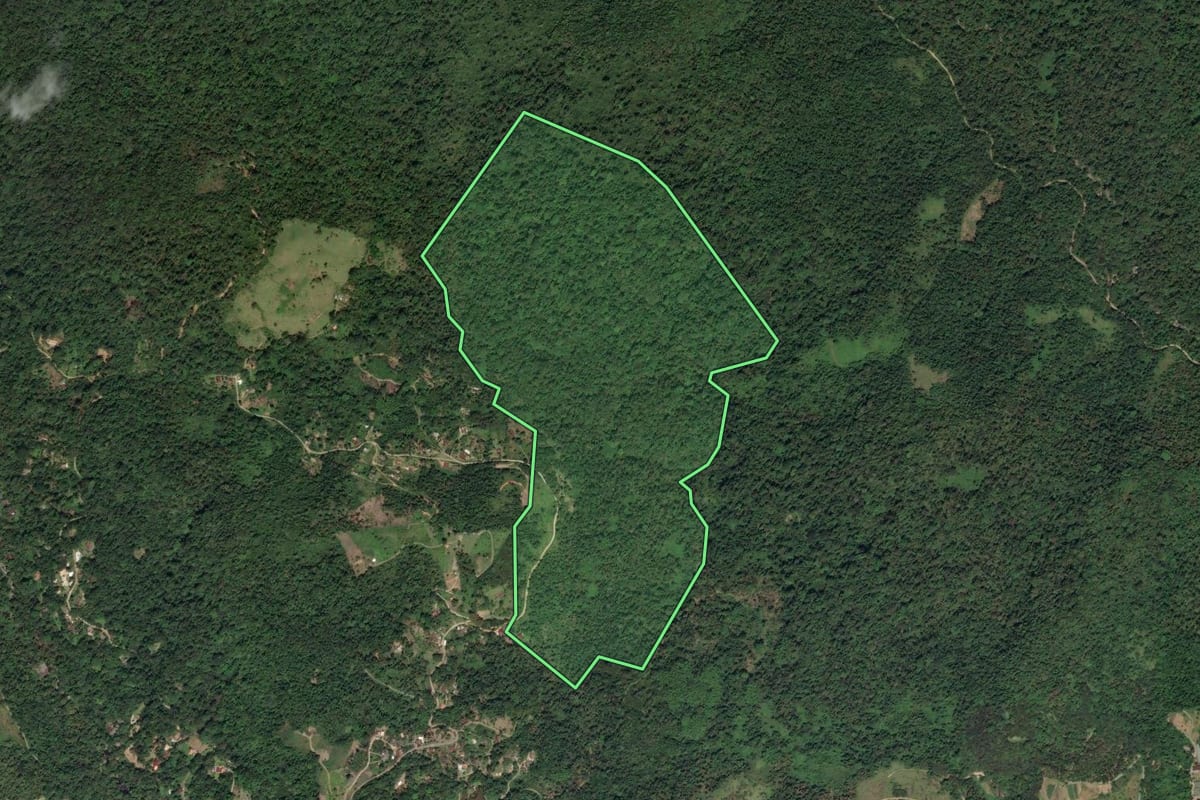 Imagem de satélite do imóvel rural em Paraty (RJ), com o contorno declarado no CAR desenhado por cima.