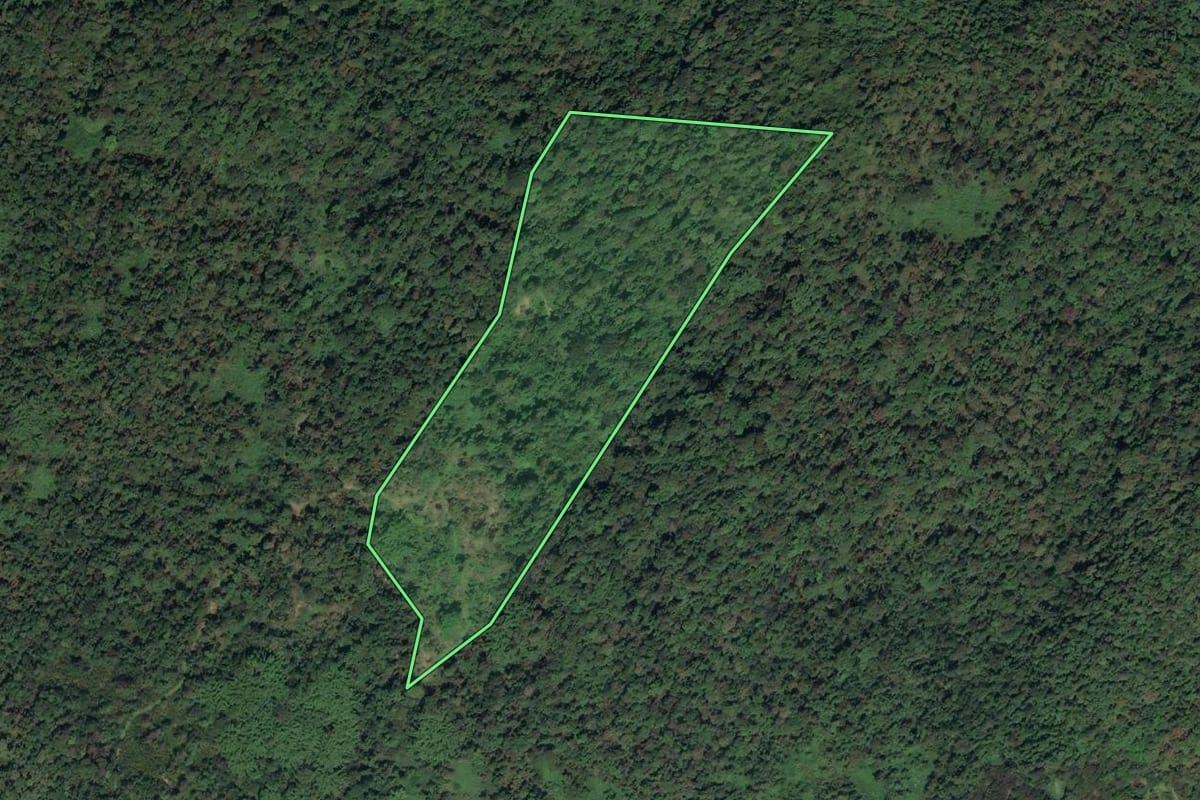 Imagem de satélite do imóvel rural em Paraty (RJ), com o contorno declarado no CAR desenhado por cima.