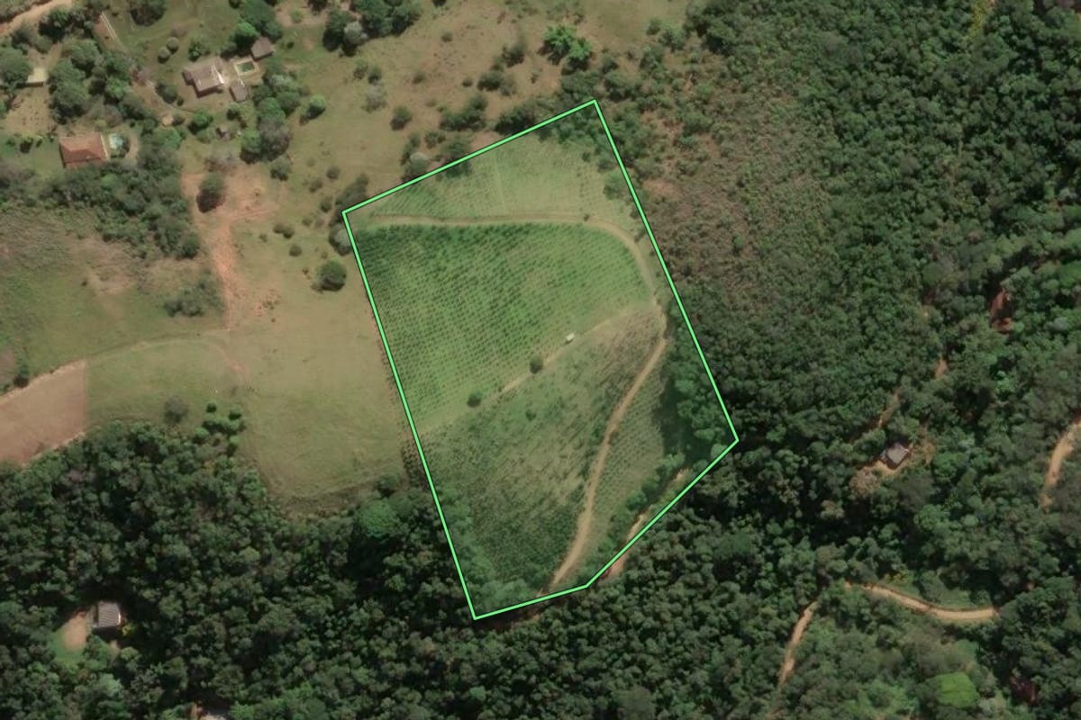 Imagem de satélite do imóvel rural em Paty do Alferes (RJ), com o contorno declarado no CAR desenhado por cima.