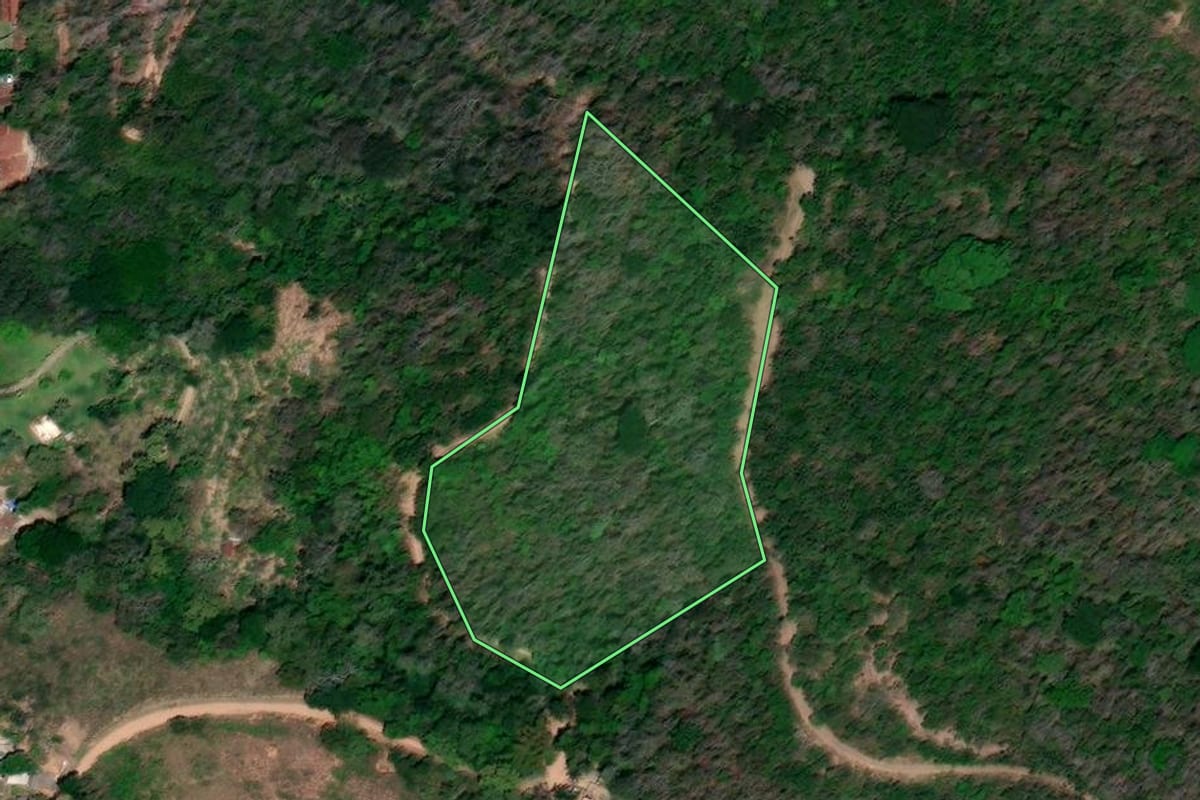Imagem de satélite do imóvel rural em Petrópolis (RJ), com o contorno declarado no CAR desenhado por cima.