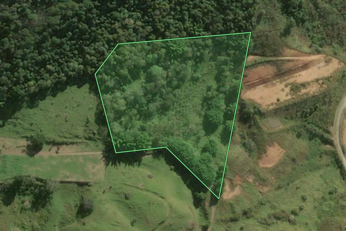 Imagem de satélite do imóvel rural em Petrópolis (RJ), com o contorno declarado no CAR desenhado por cima.