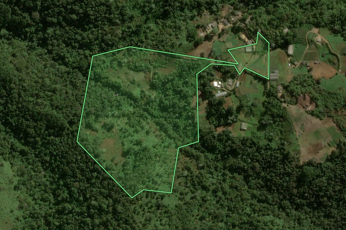 Imagem de satélite do imóvel rural em Petrópolis (RJ), com o contorno declarado no CAR desenhado por cima.
