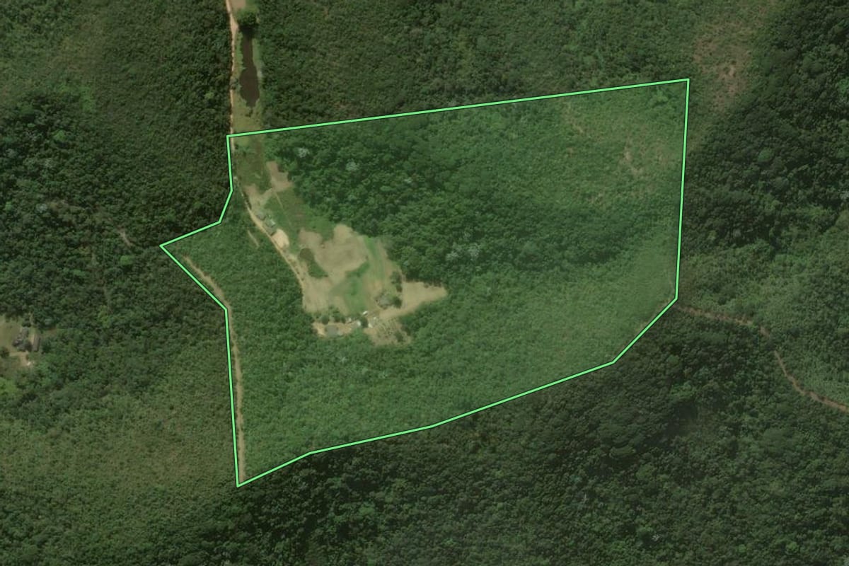 Imagem de satélite do imóvel rural em Petrópolis (RJ), com o contorno declarado no CAR desenhado por cima.