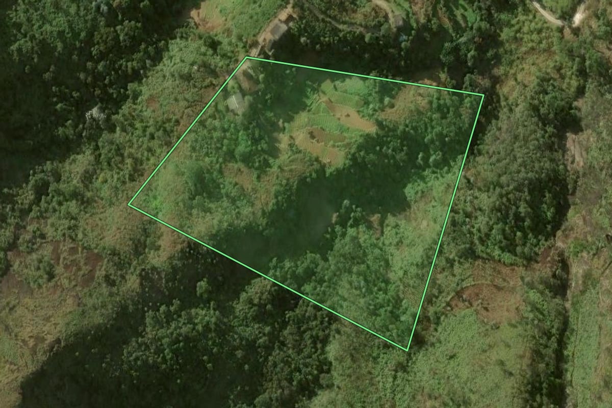 Imagem de satélite do imóvel rural em Petrópolis (RJ), com o contorno declarado no CAR desenhado por cima.