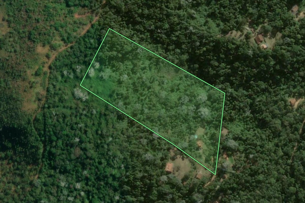 Imagem de satélite do imóvel rural em Petrópolis (RJ), com o contorno declarado no CAR desenhado por cima.