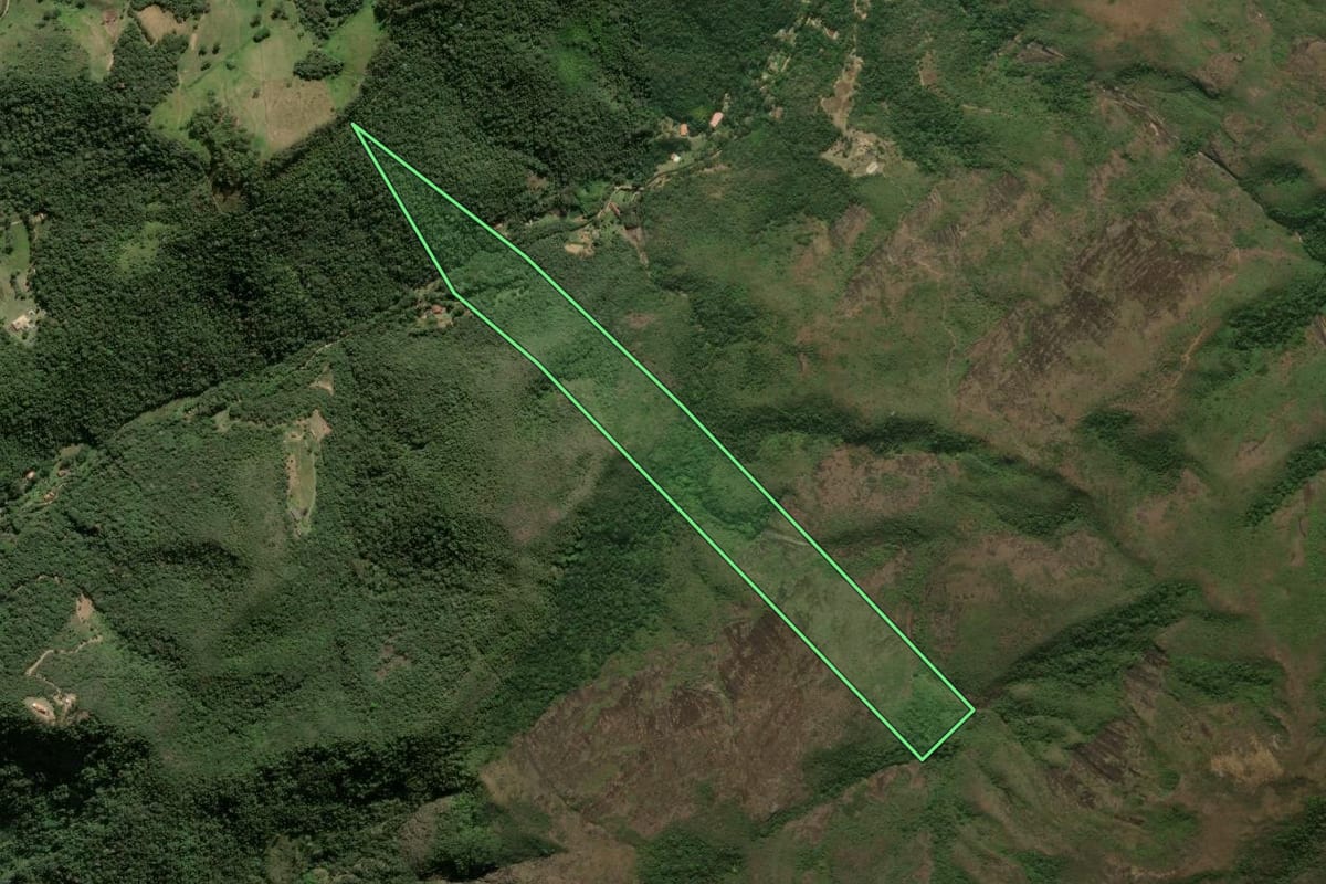 Imagem de satélite do imóvel rural em Petrópolis (RJ), com o contorno declarado no CAR desenhado por cima.
