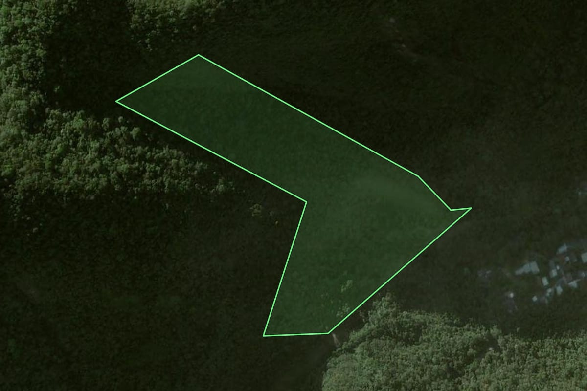 Imagem de satélite do imóvel rural em Petrópolis (RJ), com o contorno declarado no CAR desenhado por cima.