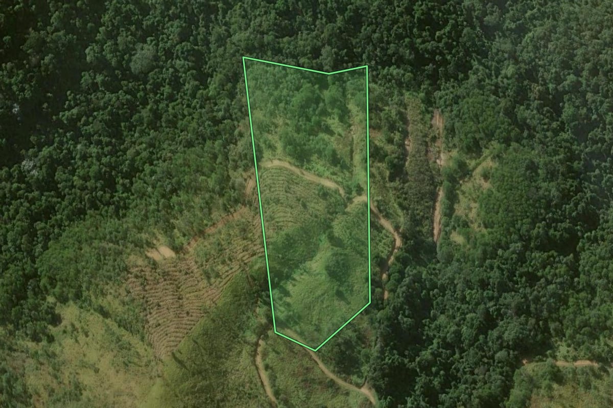 Imagem de satélite do imóvel rural em Petrópolis (RJ), com o contorno declarado no CAR desenhado por cima.