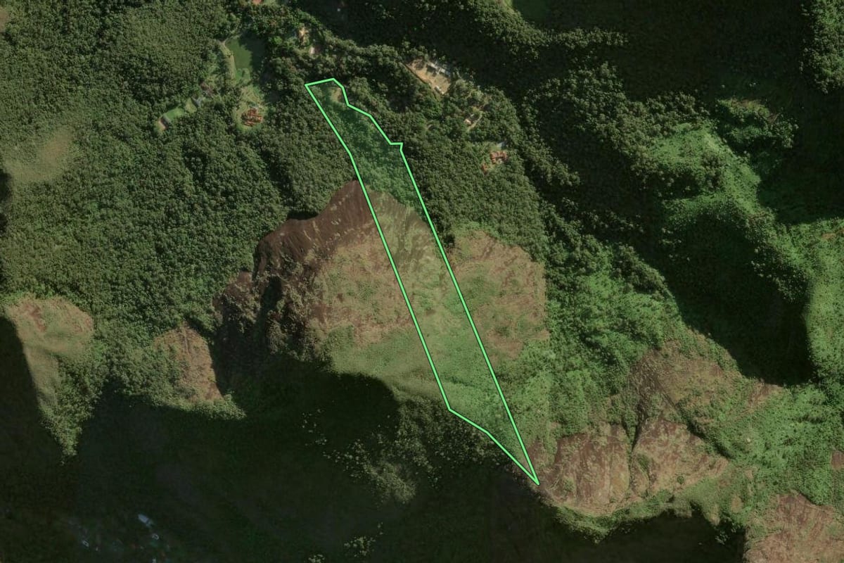 Imagem de satélite do imóvel rural em Petrópolis (RJ), com o contorno declarado no CAR desenhado por cima.