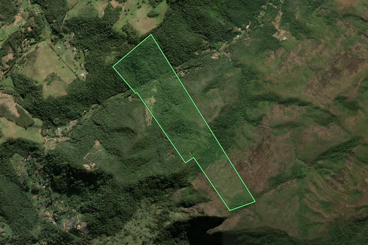 Imagem de satélite do imóvel rural em Petrópolis (RJ), com o contorno declarado no CAR desenhado por cima.